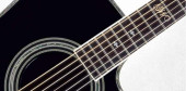 TAKAMINE ARTIST SW341SC STEVE WARNER SIGNATURE TAKAMINE ARTIST SW341SC STEVE WARNER SIGNATURE