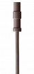 AKG LC82 MD какао