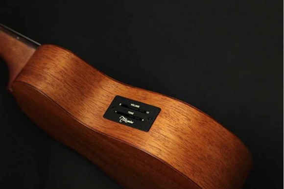 TAKAMINE EGU-C1
