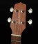 TAKAMINE EGU-C1
