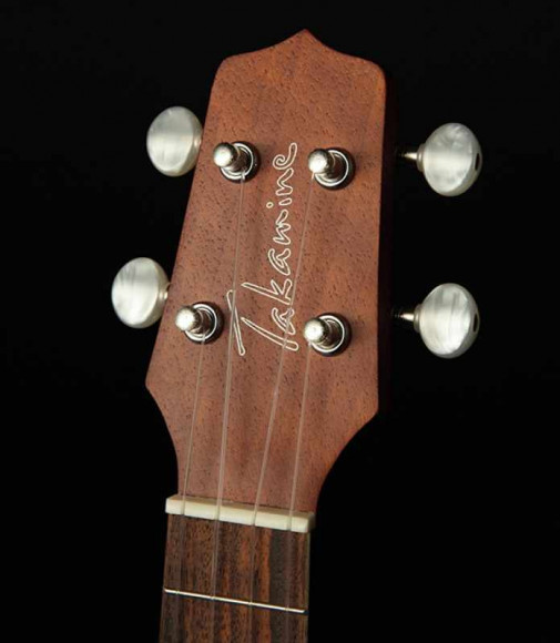 TAKAMINE EGU-C1