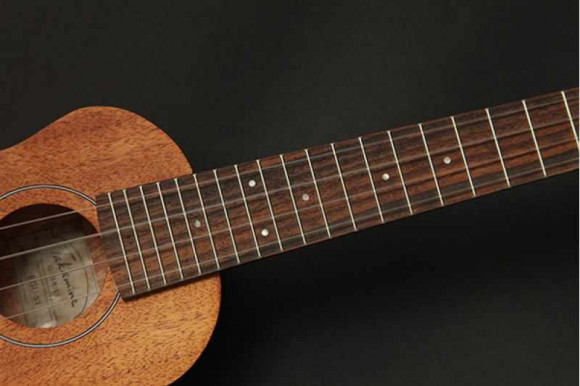 TAKAMINE EGU-C1
