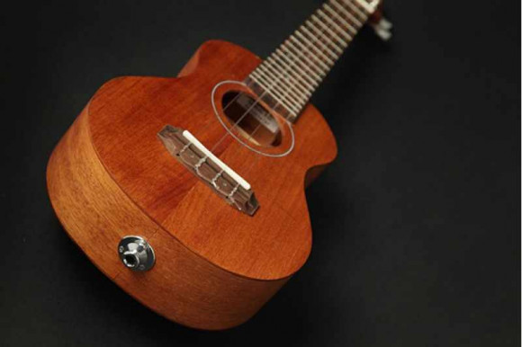 TAKAMINE EGU-C1