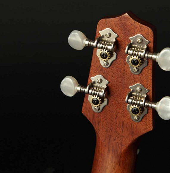 TAKAMINE EGU-C1