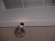 EUROLITE Mirror Ball 30cm, with MD-1515 Motor