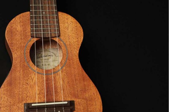 TAKAMINE EGU-T1