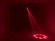 EUROLITE LED DMF-2 Hybrid Flower Effect