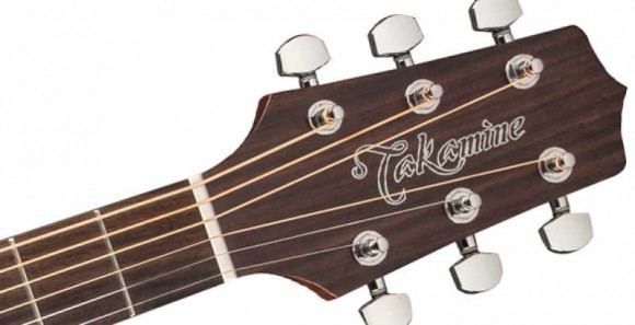 TAKAMINE G20 SERIES GD20-NS
