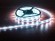 EUROLITE LED IP Pixel Strip 160 5m RGB 12V