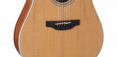 TAKAMINE G20 SERIES GD20CE-NS TAKAMINE G20 SERIES GD20CE-NS
