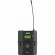AKG DPT800 BD2