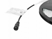 EUROLITE LED IP Strip 150 5m 6500K 12V