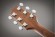 TAKAMINE G20 SERIES GN20CE-NS