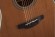 TAKAMINE G20 SERIES GN20CE-NS