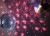 EUROLITE Mirror Ball Set 20cm with Pinspot