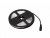 EUROLITE LED IP Strip 300 5m 3000K 12V