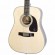EPIPHONE DR-212 NATURAL CH HDWE