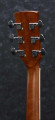 IBANEZ PF17ECE-LG DREADNOUGHT