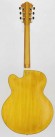 IBANEZ PM2-AA