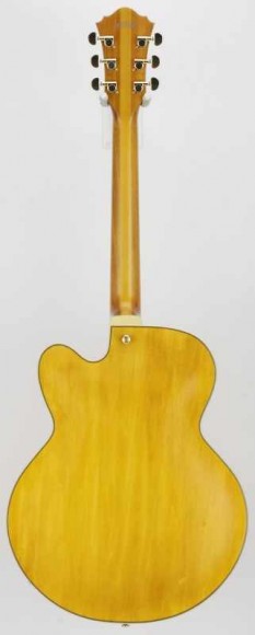 IBANEZ PM2-AA