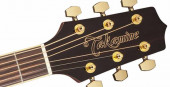 TAKAMINE G50 SERIES GD51-BSB