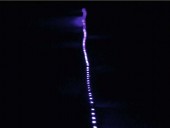 EUROLITE LED IP Strip Set 150 5m RGB 12V