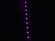 EUROLITE LED IP Strip Set 150 5m RGB 12V