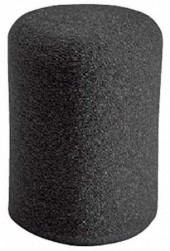 AKG W1000
