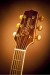 TAKAMINE G70 SERIES GN71CE-NAT