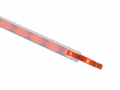 EUROLITE LED Strip 240 5m 5050 RGB 24V