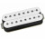 DIMARZIO IONIZER 8 NECK DP809GN