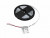 EUROLITE LED Strip 300 5m 3528 6500K 12V