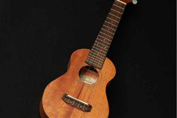 TAKAMINE GU-C1