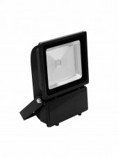 EUROLITE LED IP FL-100 COB UV