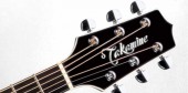 TAKAMINE LEGACY EF341SC
