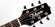 TAKAMINE LEGACY EF341SC