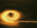 EUROLITE LED Strip 300 5m 3528 yellow 12V