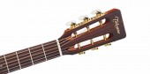 TAKAMINE LEGACY EF407