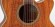 TAKAMINE LEGACY EF508KC