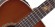 TAKAMINE LEGACY TF77-PT
