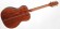 TAKAMINE LEGACY TF77-PT