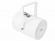 OMNITRONIC PS-30 Projector Speaker