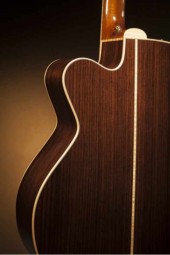 TAKAMINE P7JC