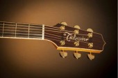 TAKAMINE P7NC