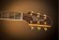 TAKAMINE P7NC