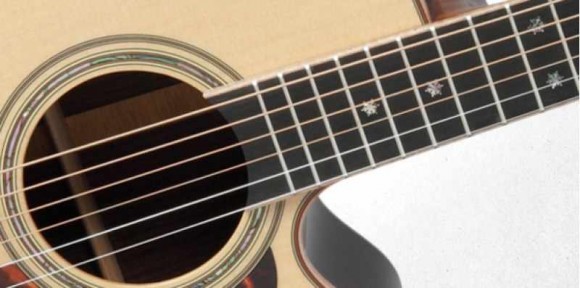 TAKAMINE P7NC