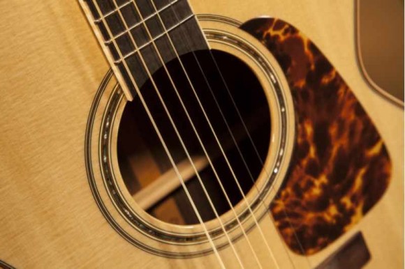 TAKAMINE P7NC