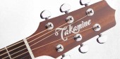 TAKAMINE PRO SERIES 1 P1DC