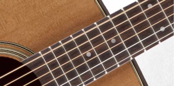 TAKAMINE PRO SERIES 1 P1DC