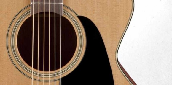 TAKAMINE PRO SERIES 1 P1JC